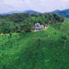 The Leaves Resort Vythiri,,3.5 star