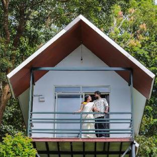 Wayand Whistling Woods,,2 star