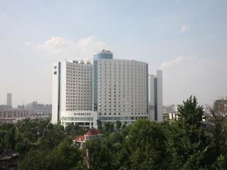 vaya international hotel