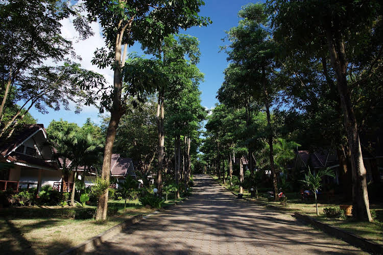 lanta manda