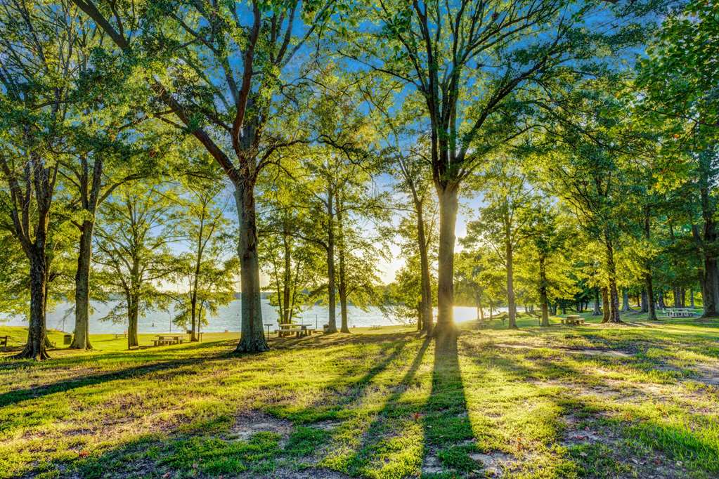 Days Inn By Wyndham Hernando,Hernando>>Desoto County,3 star
