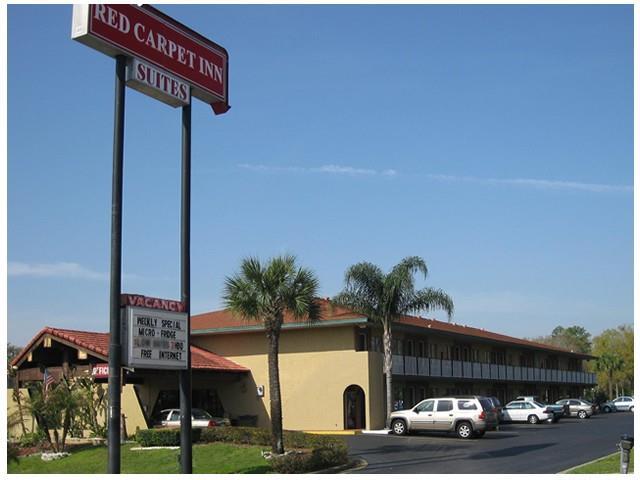 red carpet inn