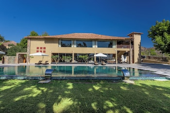 tree of life amara resorts and spa udaipur