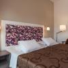 hotel hippocampus