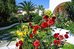 Papadakis,Chania>>Apokoronas,1 star