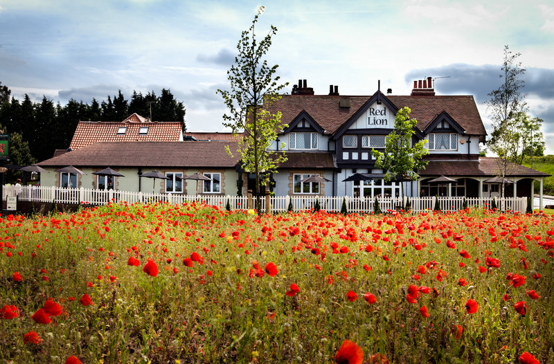 The Red Lion,,3 star
