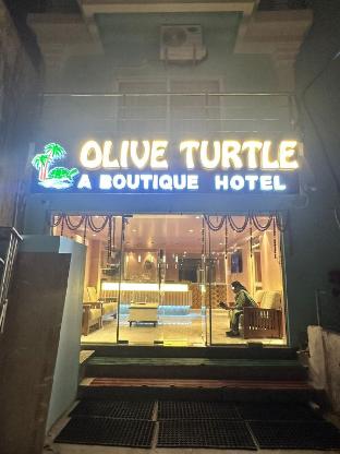 Olive Turtle,Baliapanda,3 star