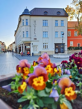 hotel domus collis