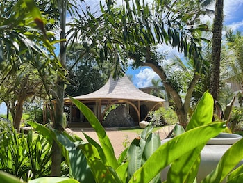 cape pakarang wow wild wellness escapes