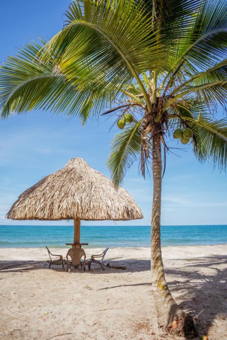 uuttaaka eco hotel