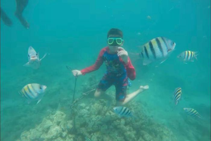 Pura Vida La Casa Del Cholo,,2 star