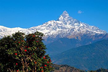 Himalayan Deurali Resort,Gandaki>>Annapurna Conservation Area,3 star