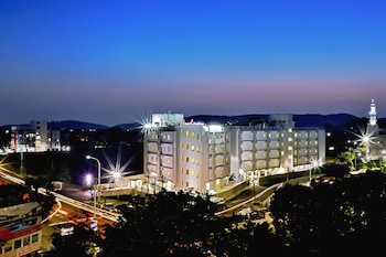 Downtown Business Hotel,,2 star