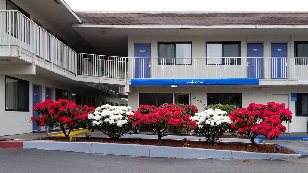 motel 6 springfield or eugene north
