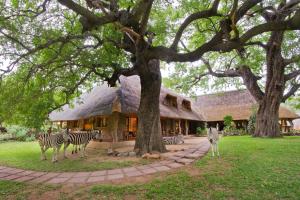 blyde river canyon lodge