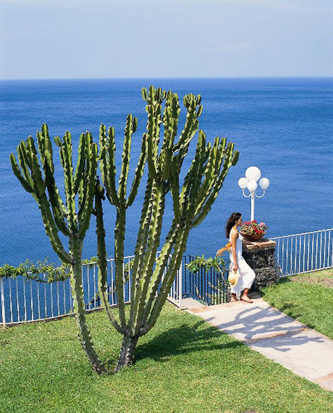 hotel continental mare