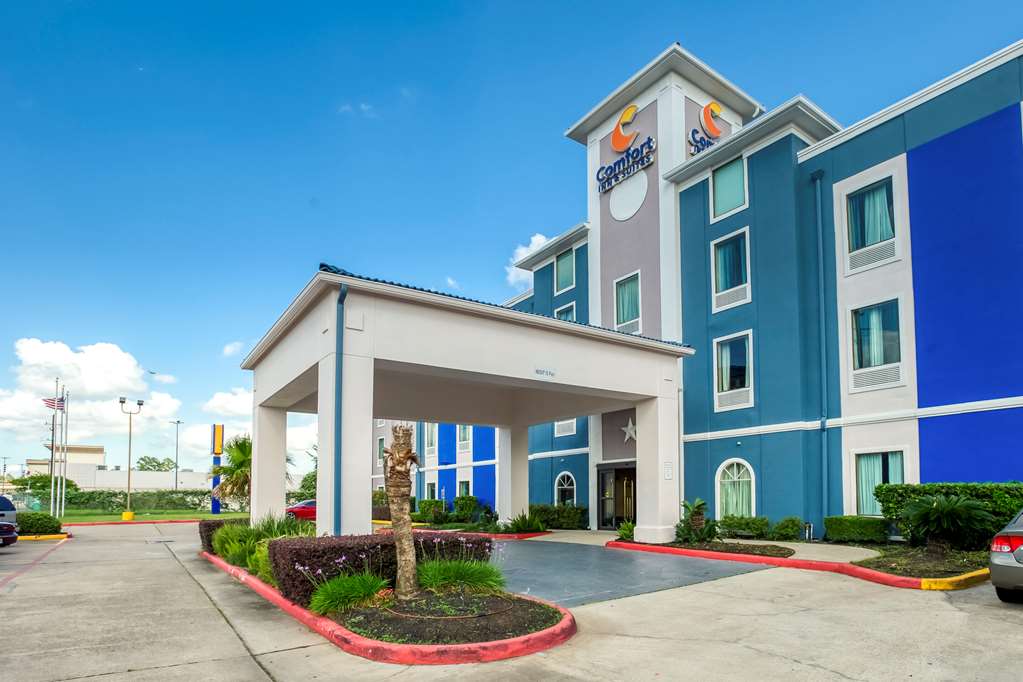 comfort inn and suites houston fm1960 champions