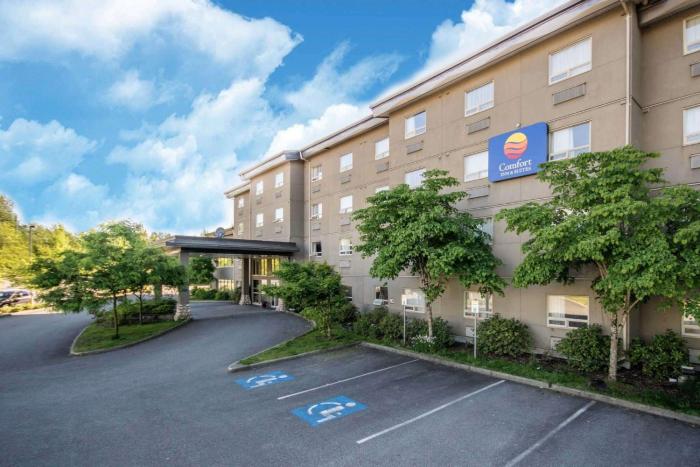 comfort inn and suites