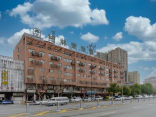 greentree apartment hefei swan lake wanda plaza