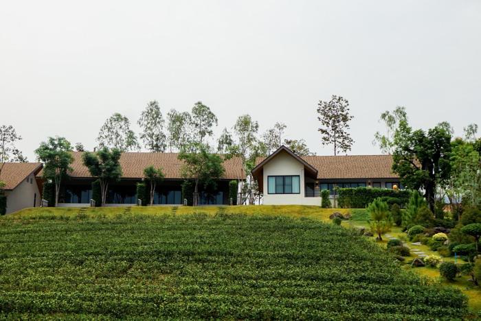 Passa ผัสสะ Tea Plantation @Mae On,,5 star