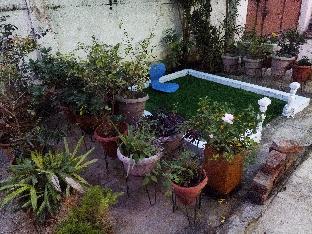 The Paradise,,5 star