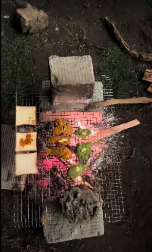 mount olympus lounge