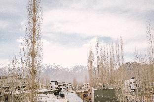 shaney la guest house