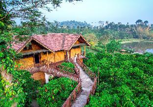 niyatma resort wayanad by voye homes