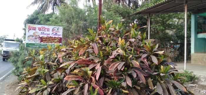 shreya cottage vaishet alibag