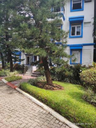 park grand royale palms benaulim goa