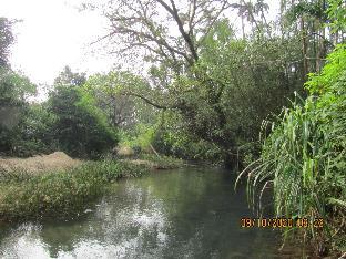 Mithila Nature Stay - Agumbe Homestay,,2 star