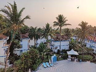 ary royal palms