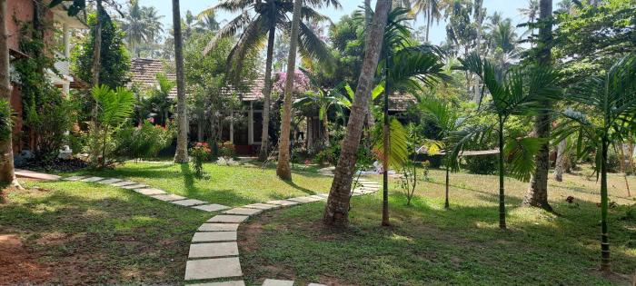 doctors ayurveda heritage