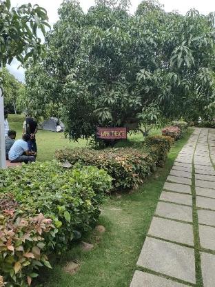 Q Mango Resort,,3 star