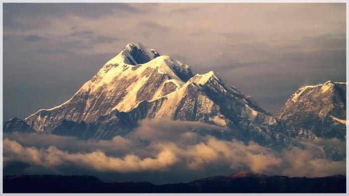 Thc Ecostays Kausani,,5 star