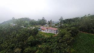 tea tree munnar