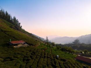 Wild And Free Farm Stay,,4 star