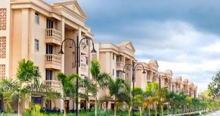 Wollywood, Wada,,4 star