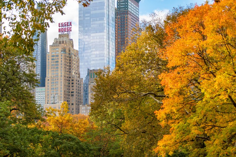 jw marriott essex house new york