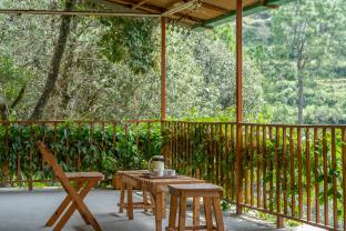 Bloomstone Orchard Mukteshwar -Living By Homeyhuts,,3 star