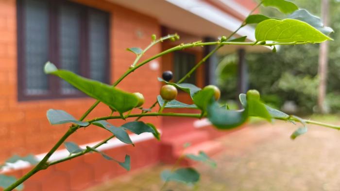 Theerthamkara Staycation,,4 star