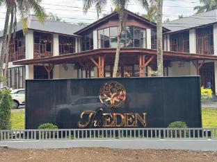 the eden