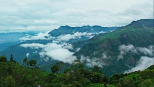 luxury rooms the umber tea family cottage