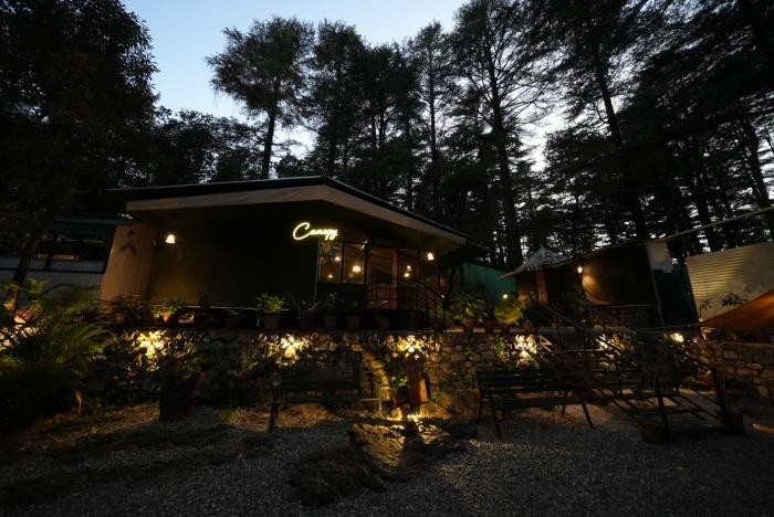 Treetop Glamps,,5 star