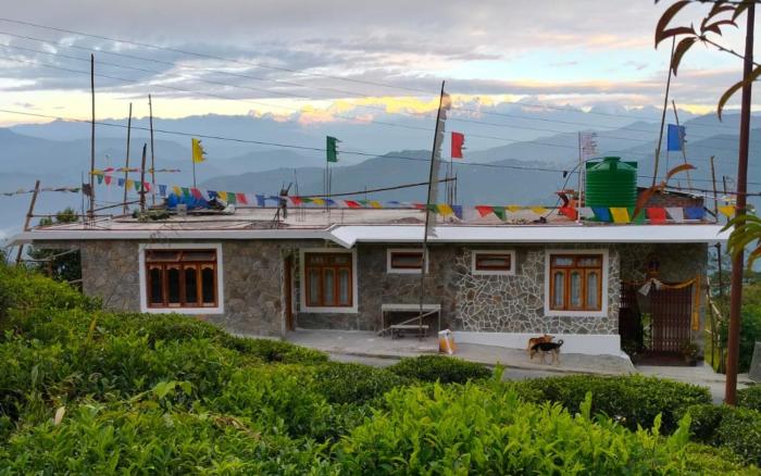 The Cherry Blossom Homestay By Stayapart,,2 star