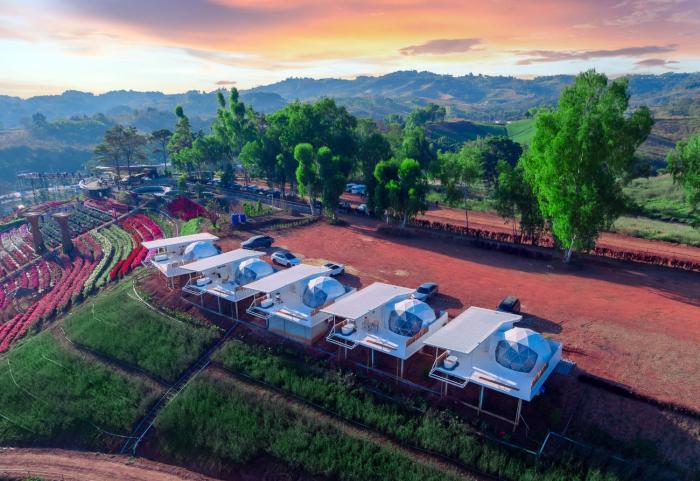 Khaokho Flower Camp,,5 star