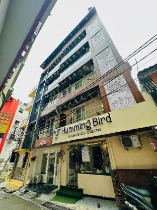 humming bird luxury stay
