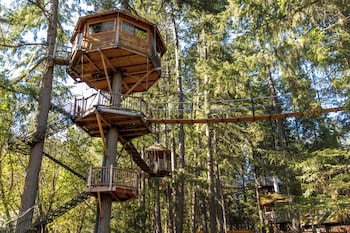 Out 'N' About Treehouse Treesort,300 Page Creek Rd,3 star