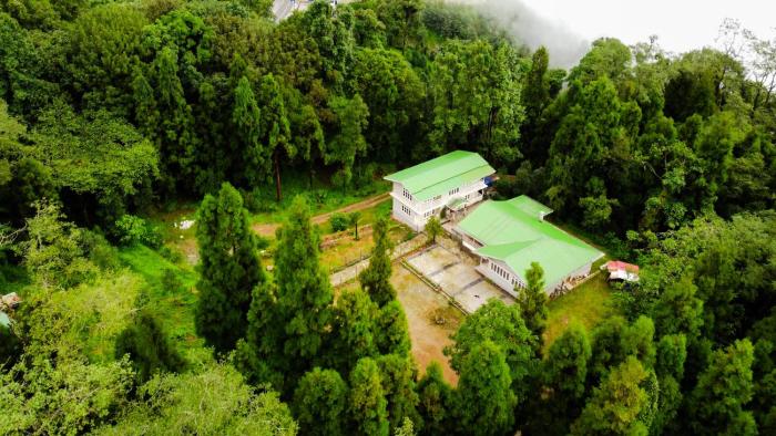 the alpine jungle stay