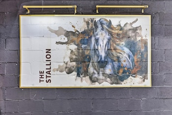 the stallion